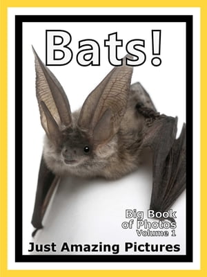 Just Bat Photos! Big Book of Photographs & Pictures of Bats, Vol. 1