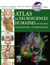Atlas de neurosciences humaines de Netter Neuroanatomie - Neurophysiologie