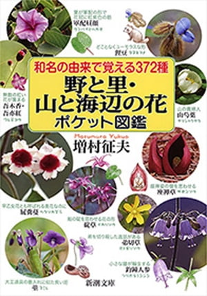 和名の由来で覚える372種　野と里・山と海辺の花ポケット図鑑（新潮文庫）