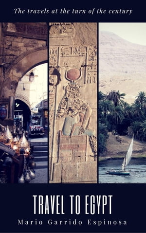 ŷKoboŻҽҥȥ㤨The travels at the turn of the centuryŻҽҡ[ Mario Garrido Espinosa ]פβǤʤ146ߤˤʤޤ