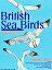 British Sea Birds (Illustrations)