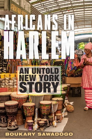 Africans in Harlem An Untold New York Story