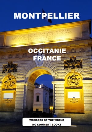 MONTPELLIER OCCITANIE FRANCE