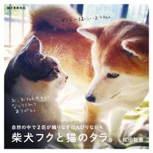 柴犬フクと猫のタラ。