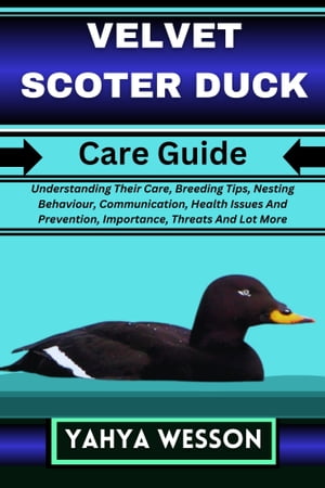 VELVET SCOTER DUCK Care Guide