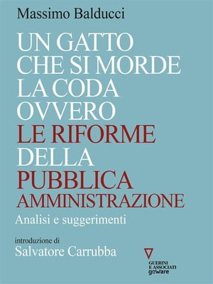 Un gatto che si morde la coda ovvero le riforme della pubblica amministrazione