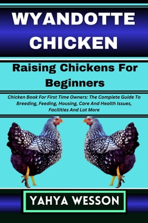 WYANDOTTE CHICKEN Raising Chickens For Beginners