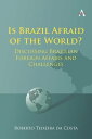 Is Brazil Afraid of the World? Discussing Brazilian Foreign Affairs and Challeng...