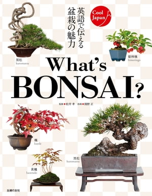 Ｗｈａｔ’ｓ　ＢＯＮＳＡＩ　？