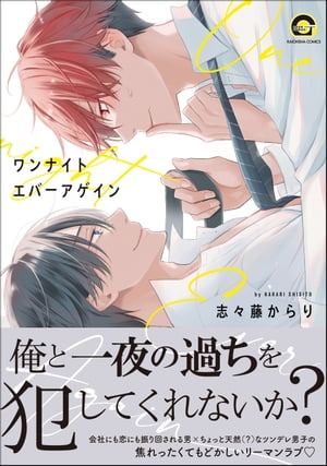 ワンナイト エバーアゲイン 【電子限定かきおろし漫画付】