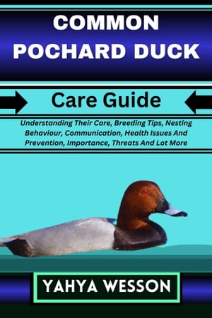 COMMON POCHARD DUCK Care Guide