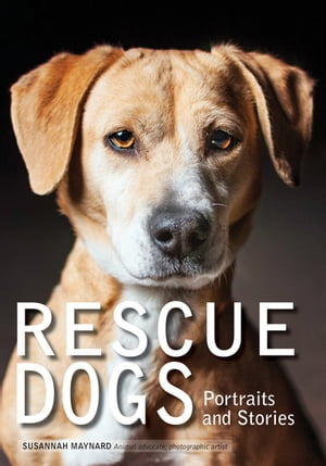 Rescue Dogs