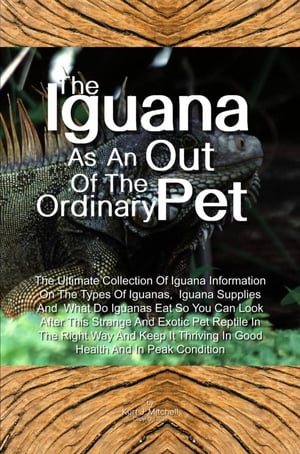 The Iguana As An Out Of The Ordinary Pet