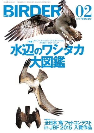 BIRDER2016年2月号