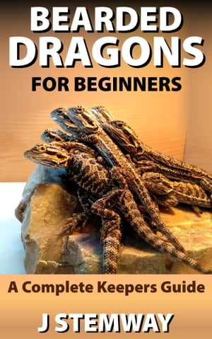 Bearded Dragons for Beginners