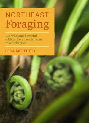 Northeast Foraging 120 Wild and Flavorful Edibles from Beach Plums to Wineberries【電子書籍】[ Leda Meredith ]