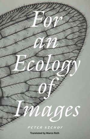 For an Ecology of ImagesŻҽҡ[ Peter Szendy ]