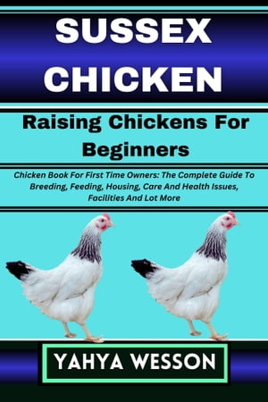 SUSSEX CHICKEN Raising Chickens For Beginners
