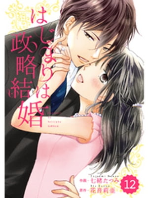 comic Berry’s はじまりは政略結婚 12巻