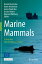 Marine Mammals