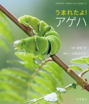 うまれたよ！　アゲハ【電子書籍】[ 安田守 ]