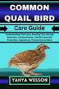 COMMON QUAIL BIRD Care Guide Understanding Their Care, Breeding Tips, Nesting Be...