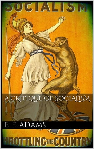 A Critique of Socialism