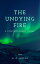 The Undying Fire (Annotated) A Contemporary NovelŻҽҡ[ H. G. Wells ]