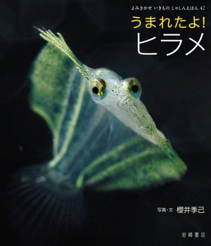 うまれたよ！　ヒラメ【電子書籍】[ 櫻井季己 ]