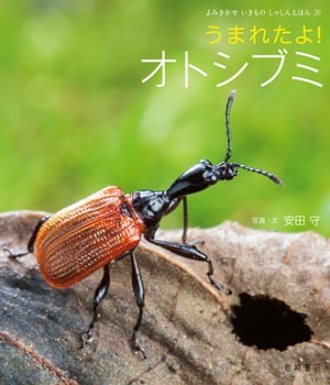 うまれたよ！　オトシブミ【電子書籍】[ 安田守 ]