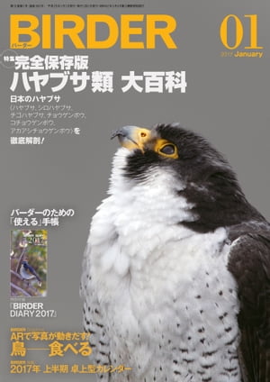 BIRDER2017年1月号