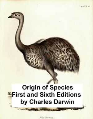 ŷKoboŻҽҥȥ㤨Origin of Speicies First and Sixth EditionsŻҽҡ[ Charles Darwin ]פβǤʤ165ߤˤʤޤ