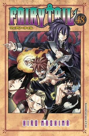 Fairy Tail vol. 48