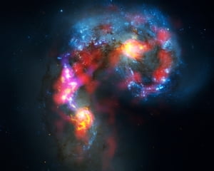 ŷKoboŻҽҥȥ㤨Il gioco delle realt?Żҽҡ[ Pietro Marchesi ]פβǤʤ487ߤˤʤޤ