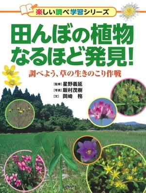 田んぼの植物なるほど発見！