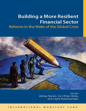 Building a More Resilient Financial Sector: Reforms in the Wake of the Global Crisis