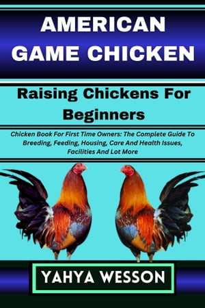 AMERICAN GAME CHICKEN Raising Chickens For Beginners