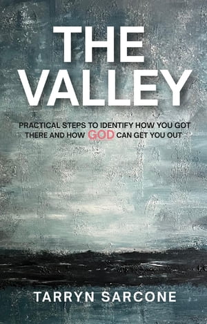 The Valley Practical Steps to Identify How You Got There and How God Can Get You Out