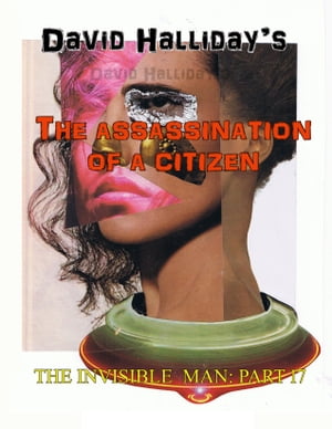 The Assassination of a Citizen【電子書籍】