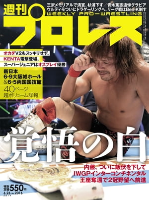 週刊プロレス 2019年 6/26号 No.2016