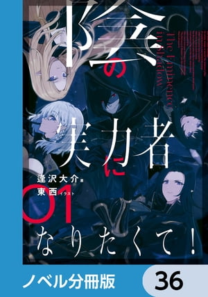 陰の実力者になりたくて！【ノベル分冊版】　36