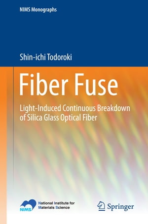 Fiber Fuse