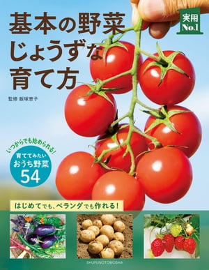 基本の野菜じょうずな育て方【電子書籍】[ 飯塚 恵子 ]