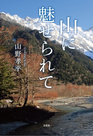 ŷKoboŻҽҥȥ㤨ֻ̥ơŻҽҡ[ ʿ ]פβǤʤ99ߤˤʤޤ