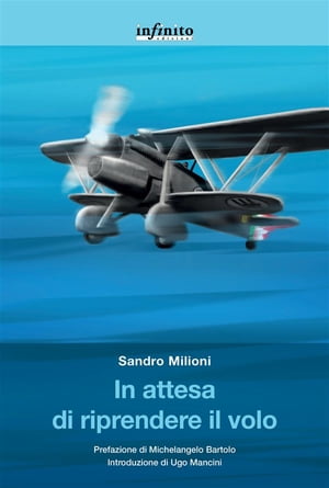 In attesa di riprendere il volo【電子書籍