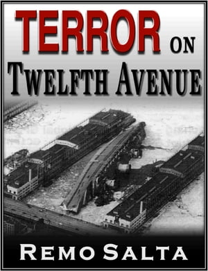 ŷKoboŻҽҥȥ㤨Terror on Twelfth AvenueŻҽҡ[ Remo Salta ]פβǤʤ239ߤˤʤޤ