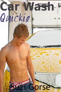 Car Wash Quickie