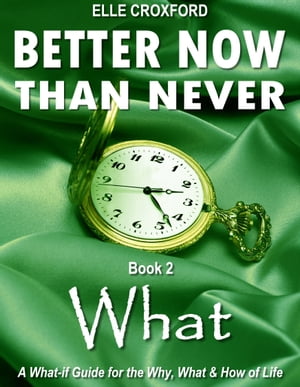 Better Now Than Never: Book 2 What