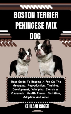 BOSTON TERRIER PEKINGESE MIX DOG