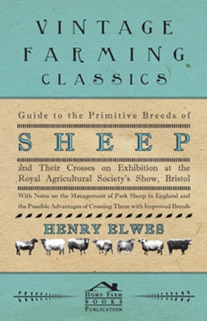 Guide To The Primitive Breeds Of Sheep And Their Crosses On Exhibition At The Royal Agricultural Society's Show, Bristol 1913